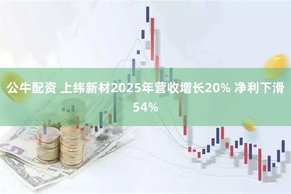 公牛配资 上纬新材2025年营收增长20% 净利下滑54%