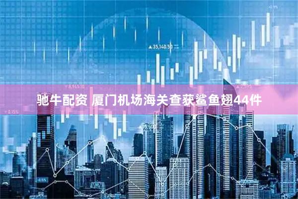 驰牛配资 厦门机场海关查获鲨鱼翅44件