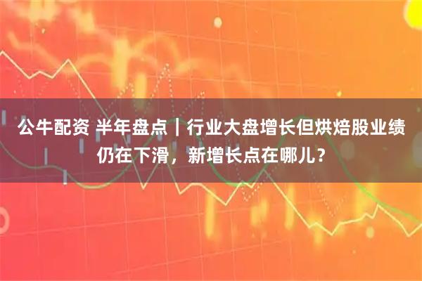 公牛配资 半年盘点｜行业大盘增长但烘焙股业绩仍在下滑，新增长点在哪儿？