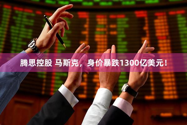 腾思控股 马斯克，身价暴跌1300亿美元！