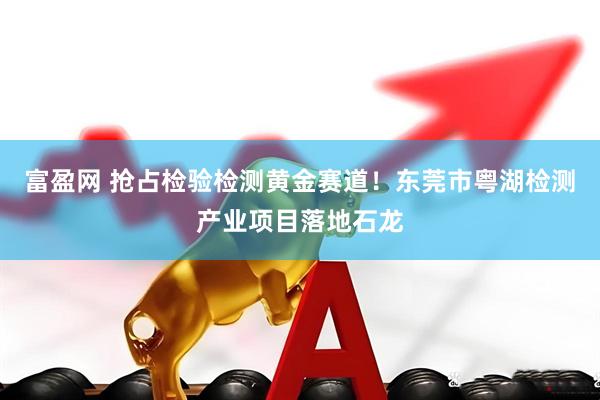 富盈网 抢占检验检测黄金赛道！东莞市粤湖检测产业项目落地石龙